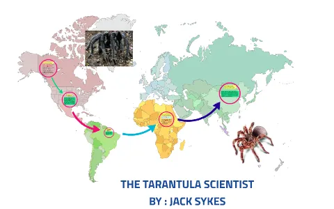 24337 tarantula enclosure