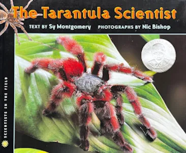 /img/24337-tarantula-watering.webp
