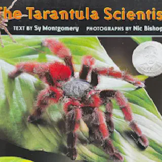 /img/24337-tarantula-watering.webp