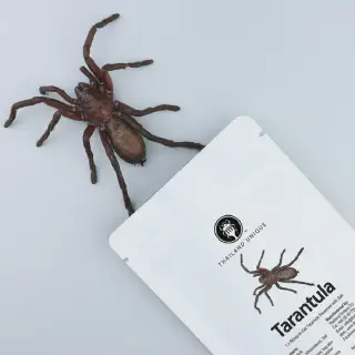 /img/24338-tarantula-vitamin-supplement.webp