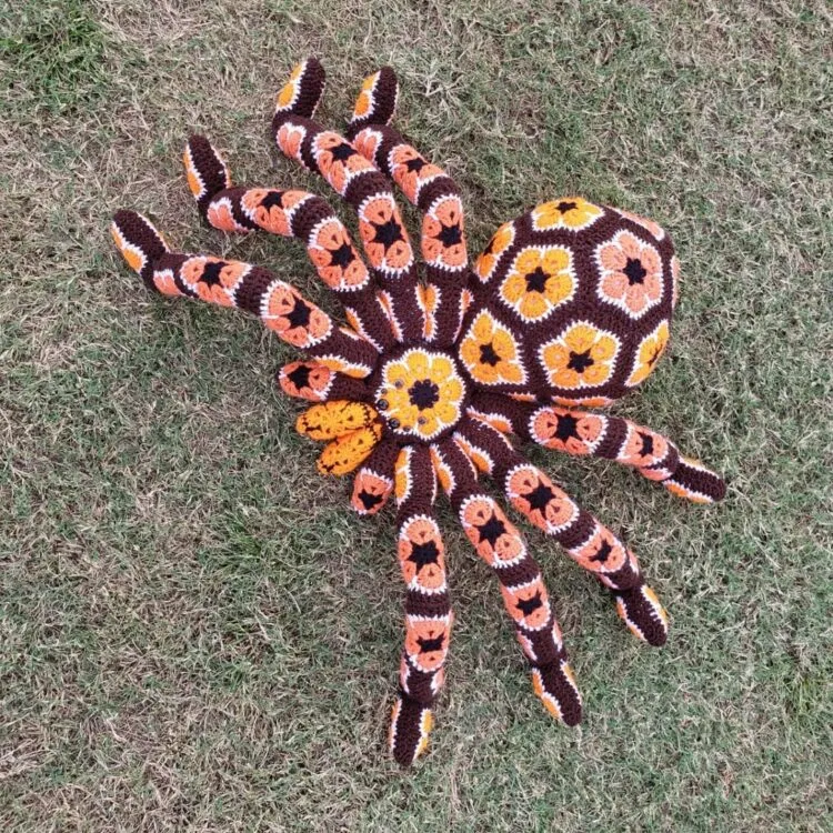 24348 tarantula kat health problems