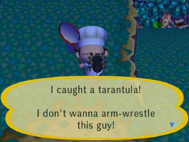 24349 animal crossing tarantula hunting