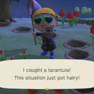 /img/24349-animal-crossing-tarantula-selling.webp