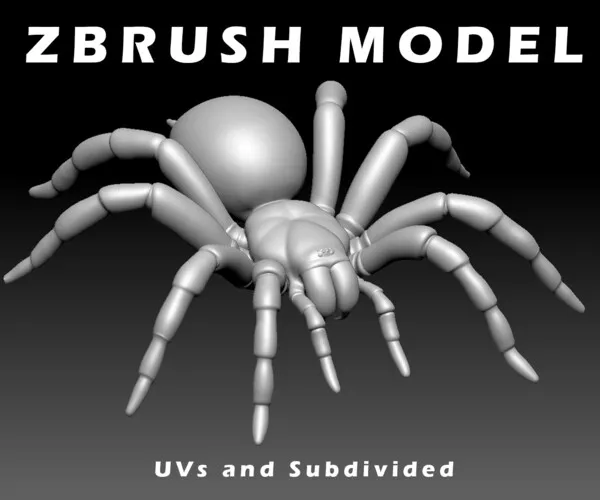 /img/24365-beginner-tarantula.webp