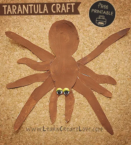 24365 tarantula feeding