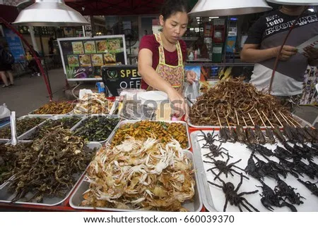 /img/24366-tarantula-vendor-shipping.webp