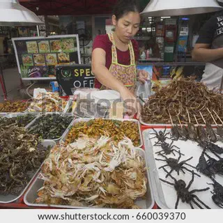 /img/24366-tarantula-vendor-shipping.webp