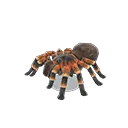 24372 animal crossing tarantula villager image2