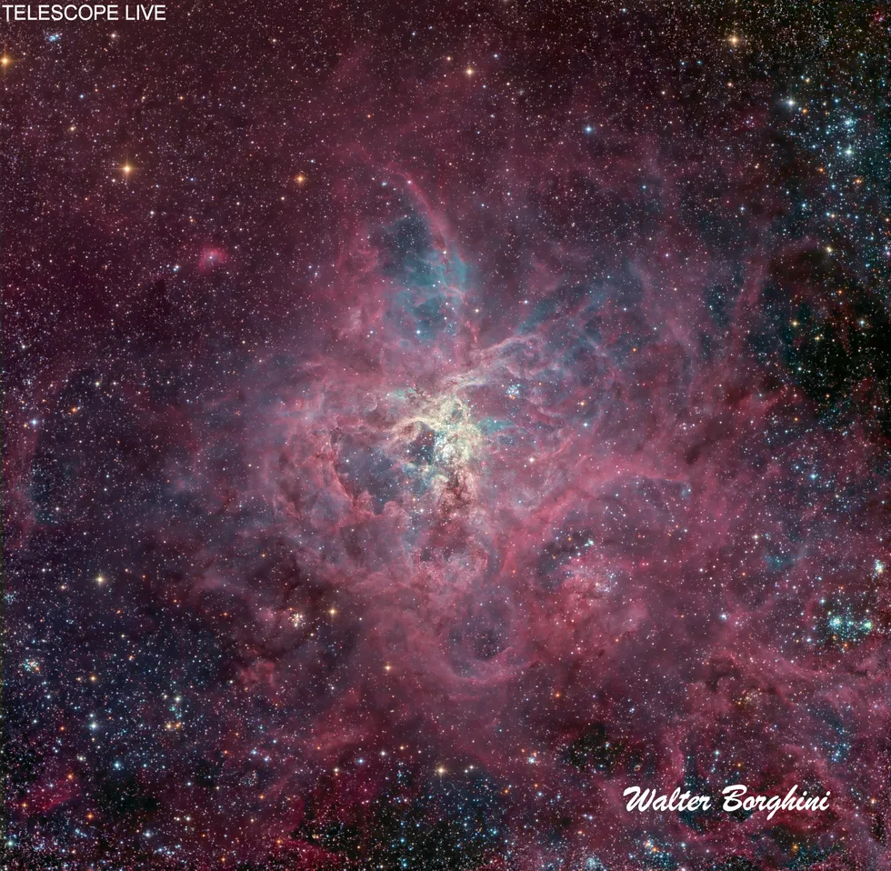 24382 tarantula nebula astrobin