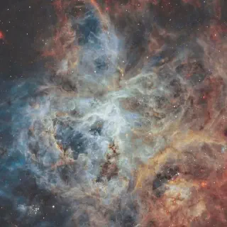 /img/24382-tarantula-nebula-importance.webp