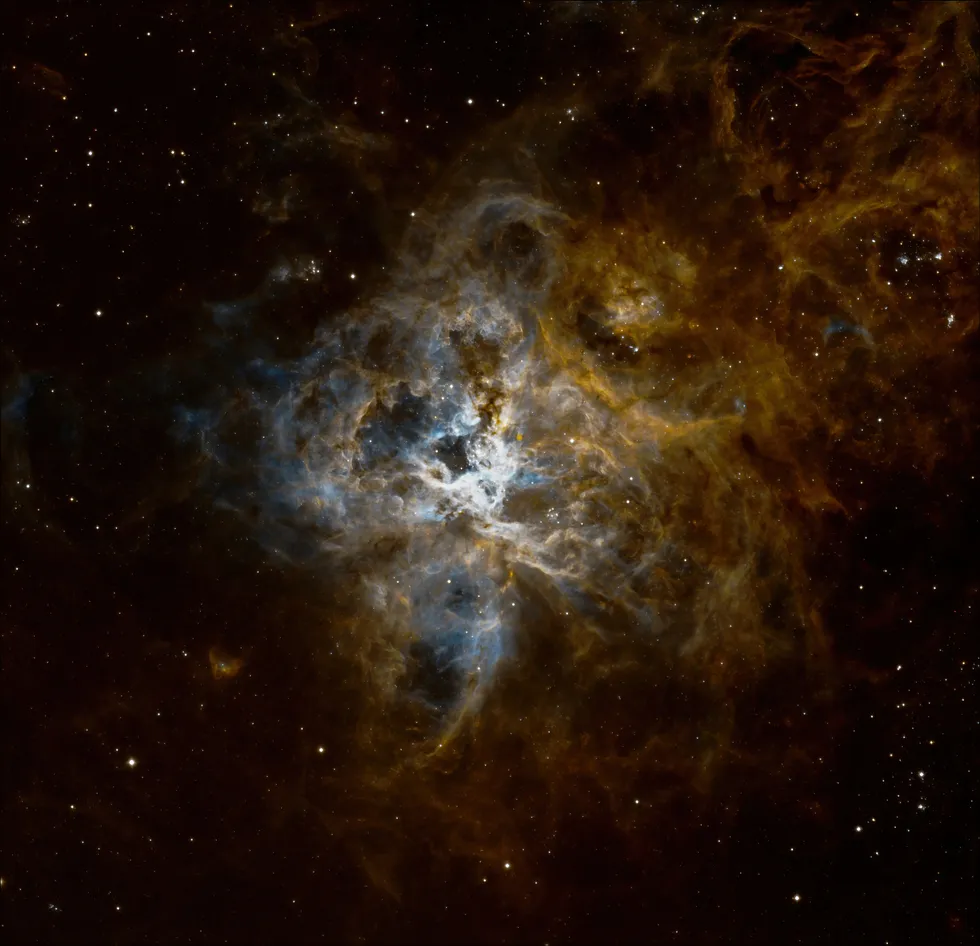 24382 tarantula nebula star formation