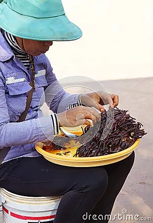 /img/24386-tarantula-online-order.webp
