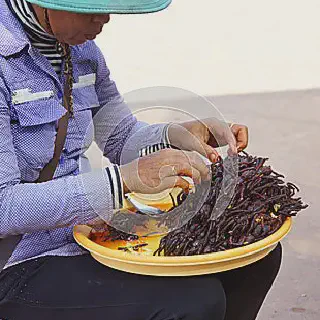 /img/24386-tarantula-online-order.webp