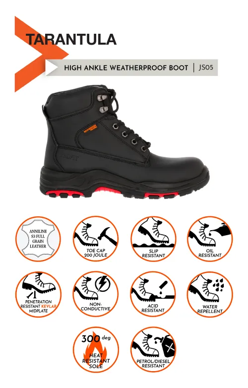 24388 safety standards shoes