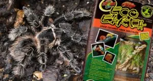 24391 potting soil substrate