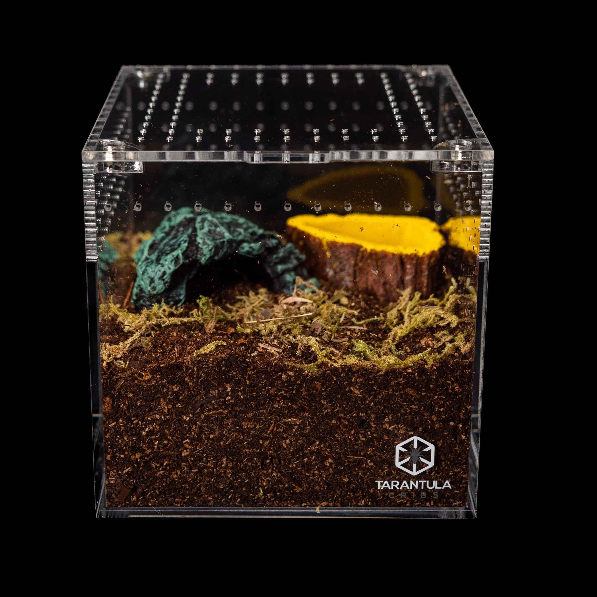 24402 acrylic enclosure tarantula