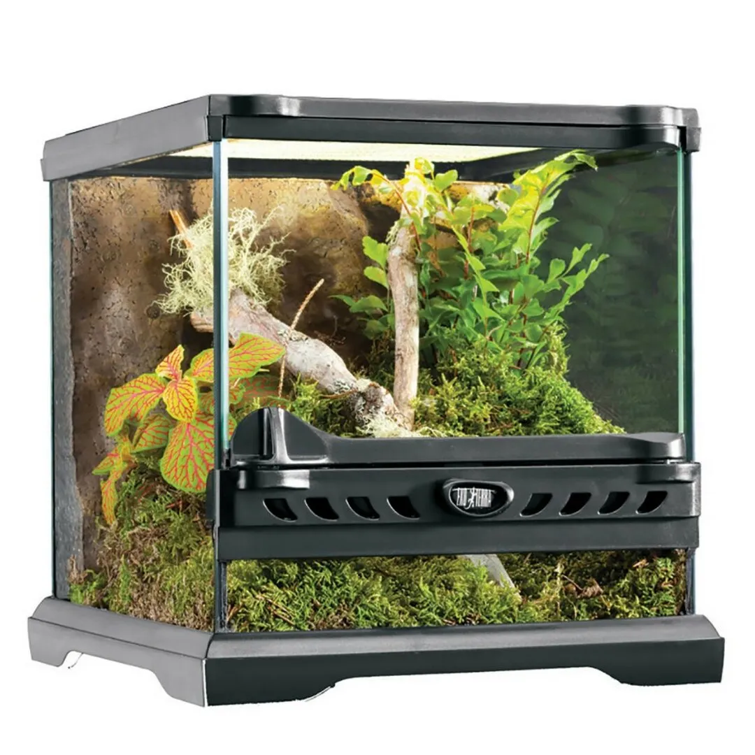 24402 tarantula substrate options