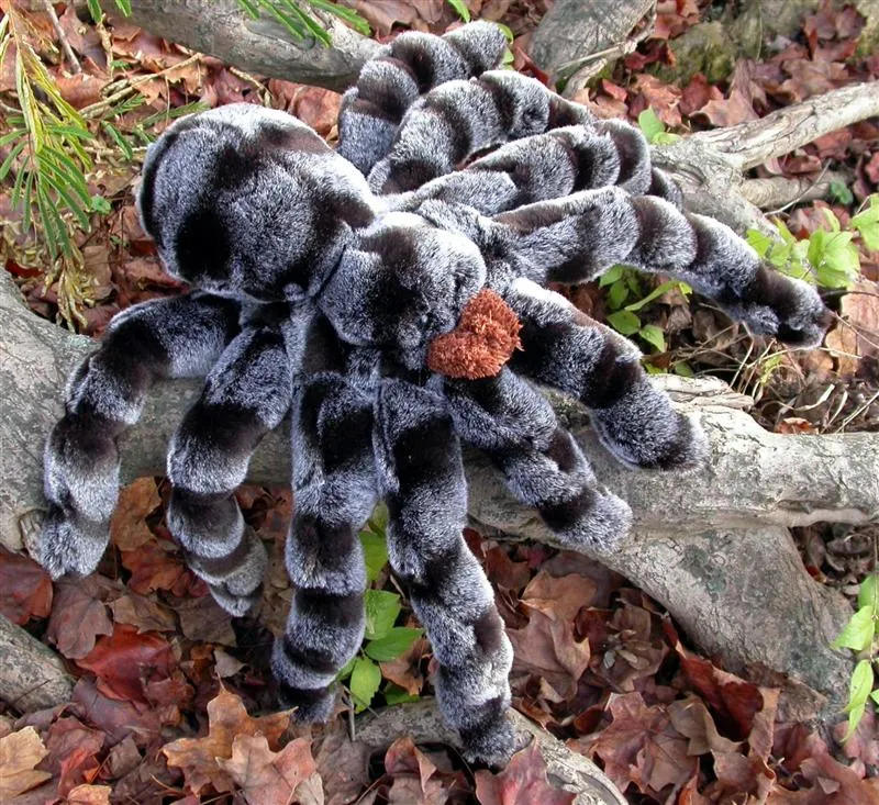 24404 mega tarantula burrowing
