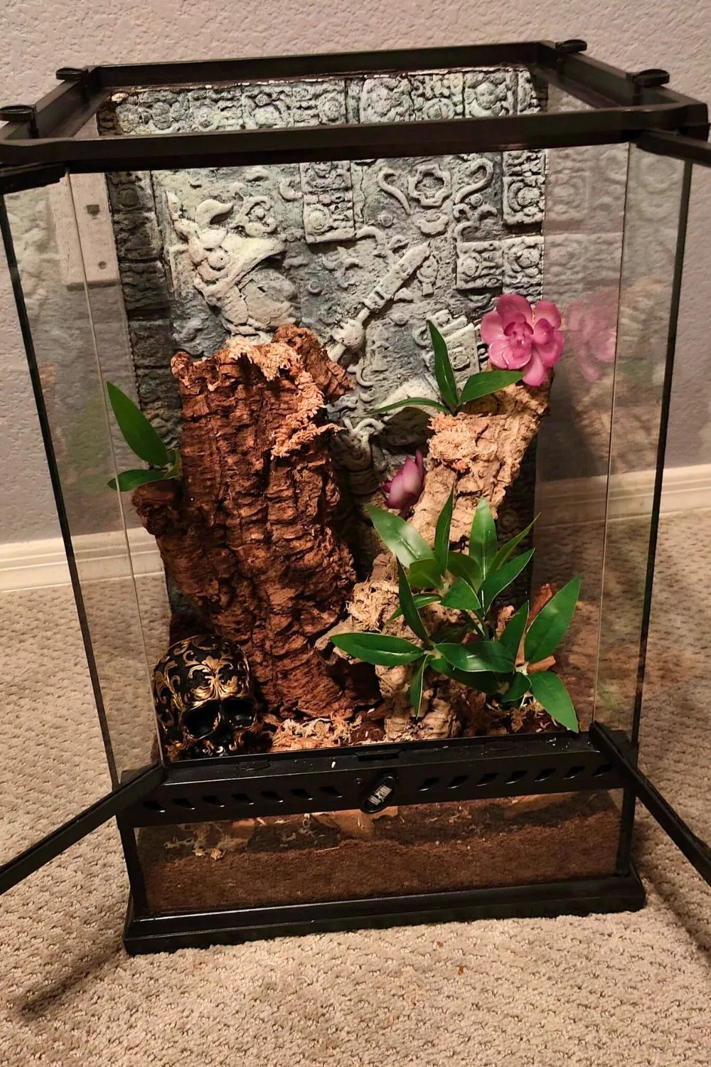 24423 tarantula decor