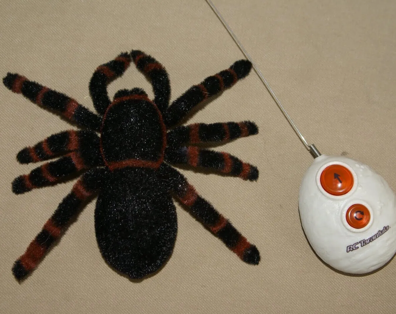 24428 deadly tarantula characteristics