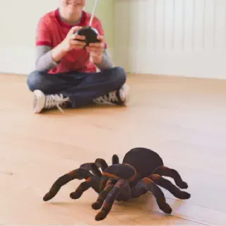 /img/24428-remote-control-tarantula.webp