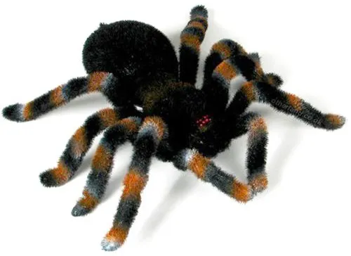 24428 tarantula hunting