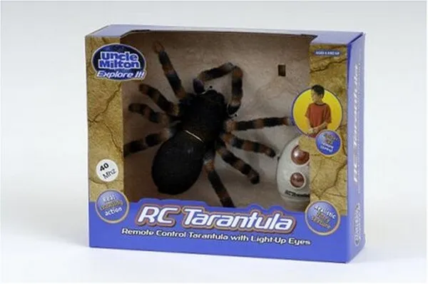 24428 tarantula size and appearance