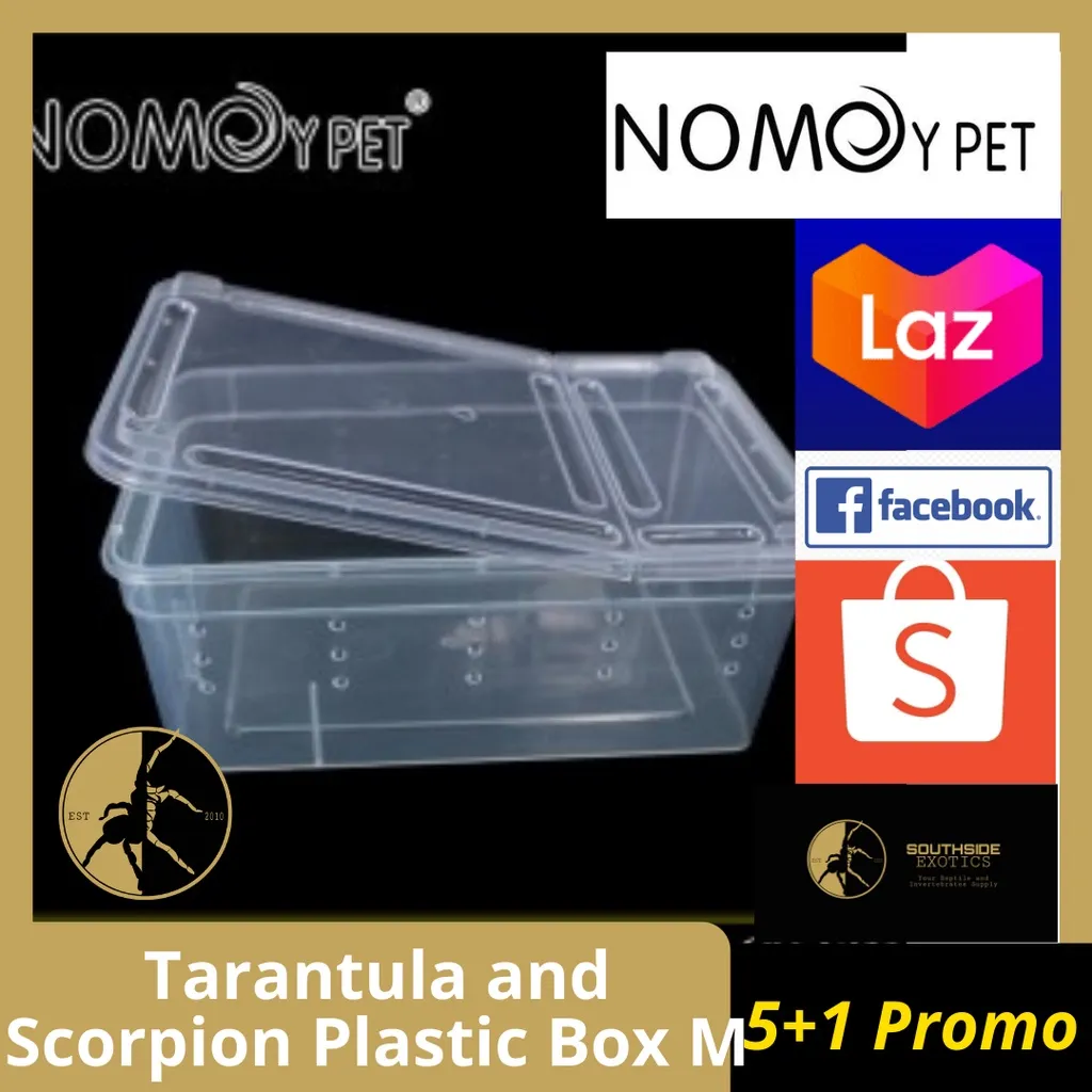 /img/24429-tarantula-enclosure-mistakes.webp