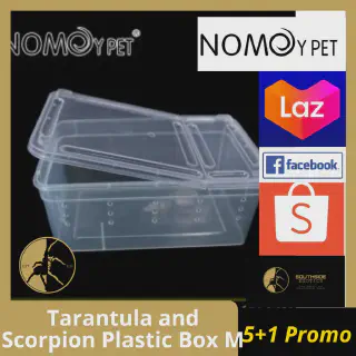 /img/24429-tarantula-enclosure-mistakes.webp
