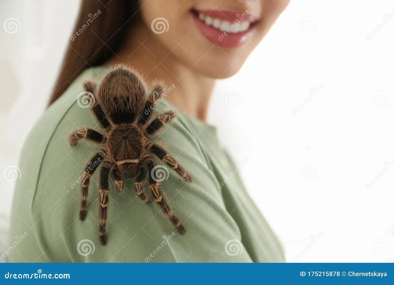 24438 tarantula woman image 7
