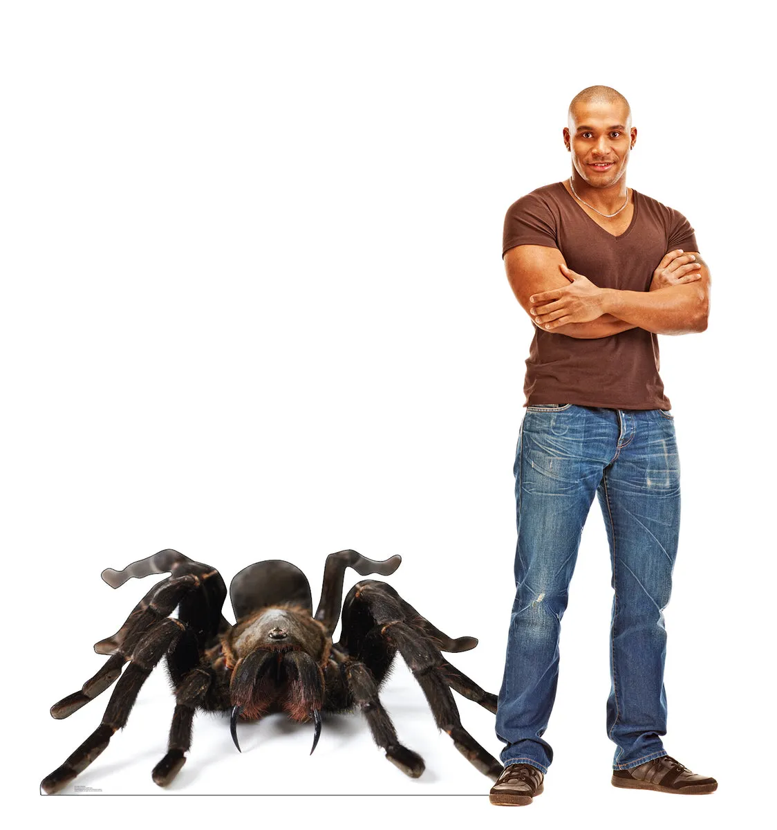 /img/24439-darlingi-tarantula-faq.webp