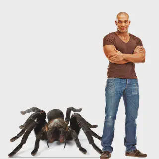 /img/24439-darlingi-tarantula-faq.webp